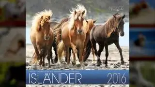 Calendar Icelandic Horses 2016
