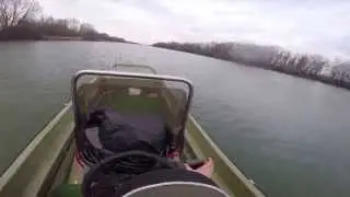 Shark 540 & Yamaha F40