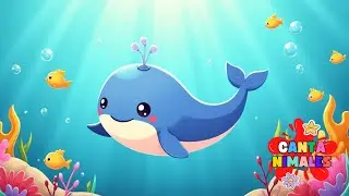 🎶 Canciones del mar para ni&ntilde;os &ndash; M&uacute;sica infantil con animales adorables