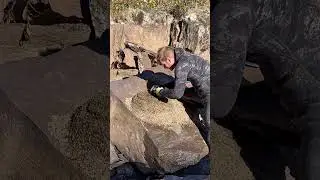Лорри был не единственным, кто украл мои сапфиры во время нашей последней поездки в Кэмпбеллс 😂