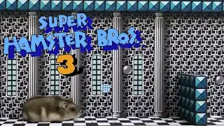 Cute HAMSTER in SUPER MARIO BROS real life World 3 Water Fortress level obstacle course