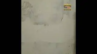 ചുമരുകൾക്ക് ANNTECH WALL PROTECTER തന്നെ ശാസ്വത പരിഹാരം