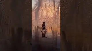 || shikawa karein hum gairon se kya khud se hue Ajnabi ||❤️