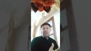 حول مسابقة الدكتوراه