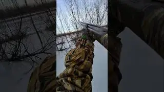 Double Gadwall on the Last Day of the Season