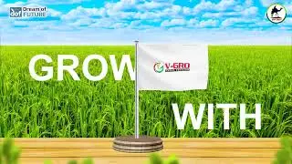 V-Gro Social Medi Network | V-Gro Group Pakistan