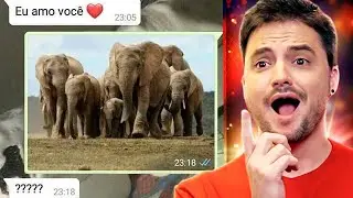 MEMES QUE VOC&Ecirc; PRECISA PENSAR PRA ENTENDER