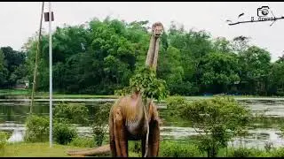 Jugibil, Golaghat, Assam 😘🌸💖||beautiful scenery ❤️ ||