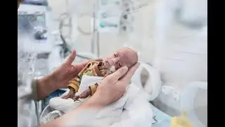 Module 3: Respiratory System and mechanical ventilation - Part 2