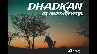 DHADKAN - BeatPlay Buzz (SLOWED + REVERB) Mani Chopra Paras Chopra #music #slowed+reverb