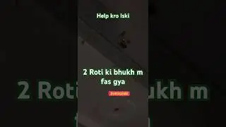 Bazuban #viral #trending #animals #shorts #short#elvishyadav #souravjoshivlogs #mrbeast #viral