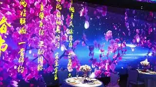 3d mapping on wedding. Very beautiful