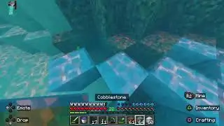 PLAYING  MINECRAFT