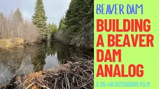 Beaver Dam: Creating a Beaver Dam Analog