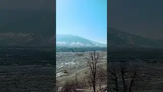 FASCINATING NATURE #shortvideo
