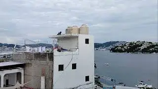 Tormenta tropical 