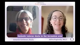 Birth Workers Directory: interview with Amanda Goldman, doula
