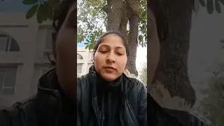 lunch pe live stream