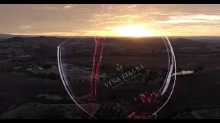 BODEGAS VI&Ntilde;A IJALBA