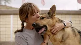 How the Search Dog Foundation Trains Canine Superheroes
