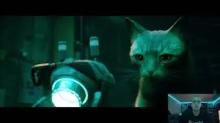 Stray Chapter 3 The Flat Gameplay