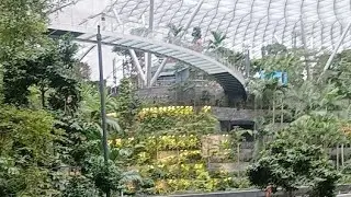 Singapore Airport Water Fountain| Super CjP