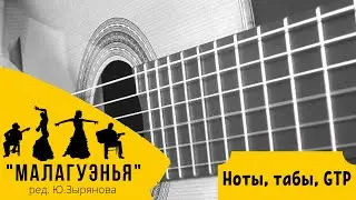 Малагуэнья (Malague&ntilde;a) ред. Ю.Зырянова на гитаре | ноты, табы, GTP, разбор