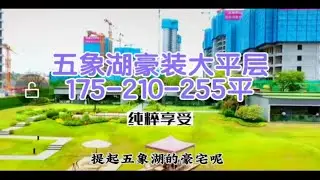 五象湖唯一的豪装大平层，175-210-255平户型