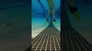 Vertical Flutter, Dolphin and Breast Kick #swimming #swimcoach #swimhappy #swimfit #swimmingfit