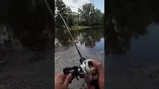 This is why BFS Fishing is Fun