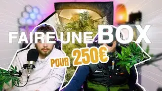 Faire une box de culture pour 250&euro;