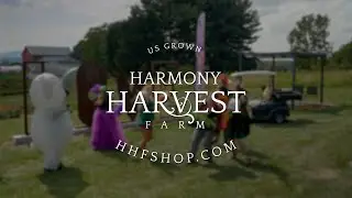 Great Effing Flowers | Harmony Harvest Farm