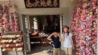 2025.6.21 Matsuyama, Ehime Trip Part 2 道後：圓満寺&rarr;宝厳寺&rarr;伊佐爾波神社&rarr;ミルクチーズケエキ&rarr;ホテル椿館