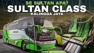 INI DIA BUS TERBAIK DI KELASNYA‼️ Trip Tangerang - Bojonegoro By Kalingga Sultan Class