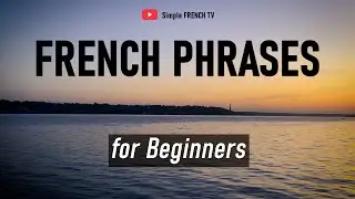 Speak French NOW! French Phrases You NEED to Know!