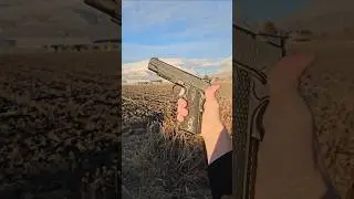 Sig Sauer 1911 Extreme .45 ACP