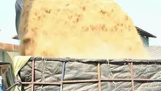 Reliable Plant Hire Services in Zimbabwe | Suwani Plant Hire