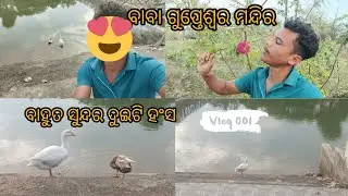 DAY 51( ବାବା ଗୁପ୍ତେଶ୍ୱର ମନ୍ଦିର 🙏)#minivlog #viral #vlog 365 Dally vlogging challenge..
