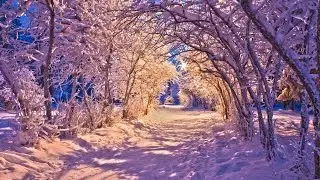 Joy of First Snow 'Joie de premi&egrave;re neige' - Piano - R. Wiley Hadley