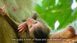 Rose gives birth to a baby girl named Rainbow!!