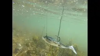 Saltwater fishing + Pond Hopping around Brookhaven, NY!
