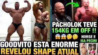 PACHOLOK J&Aacute; PESOU 154 KG EM OFF - GOODVITO ENORME ( SHAPE ATUAL ) + HORSE E ISA PECINI