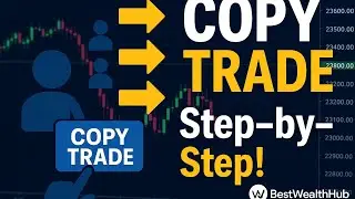 Как копировать сделки на Weltrade #брокер #weltrade #bestwealthhub #olawealthacademy
