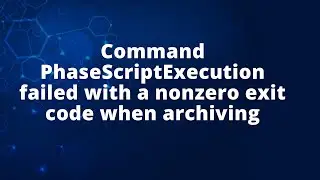 Command PhaseScriptExecution failed with a nonzero exit code when archiving
