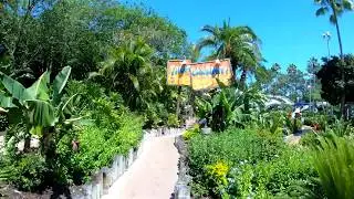 Pineapple Plunger POV at Typhoon Lagoon