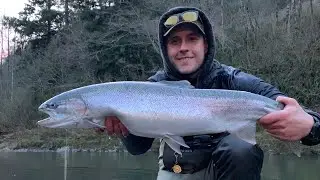 Oregon March Steelhead. New PB!