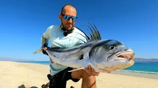 Pesca de PLAYA con SEÑUELO | Pesca de PEZ GALLO de ORILLA
