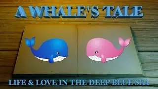 A Whale's Tale