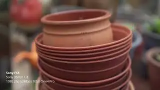 Sony FS5, 35mm 1.8 Test Footage
