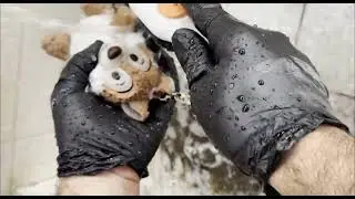 Muddy Teddy Bear Toy Wash 🧸✨ | Relaxing ASMR Cleaning